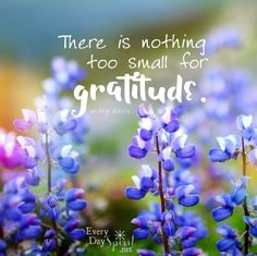 744a32e603304d888ba106f058aaeca1